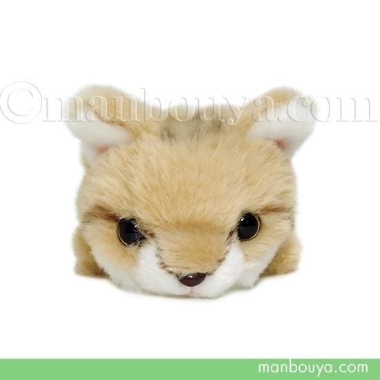 スナネコ ぬいぐるみ 猫 野生動物 キュート販売 Cute てのひらスナネコ 17cm 海の雑貨 水族館グッズ 動物ぬいぐるみ通販ショップ まんぼう屋ドットコム スナネコ ぬいぐるみ 猫 野生動物 キュート販売 Cute てのひらスナネコ 17cm 海の雑貨 水族館グッズ 動物ぬいぐるみ通販ショップ まんぼう屋ドットコム