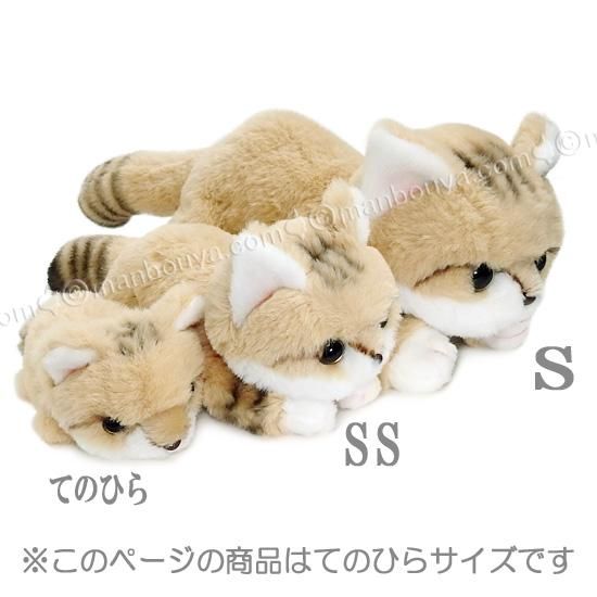 スナネコ ぬいぐるみ 猫 野生動物 キュート販売 CUTE てのひら