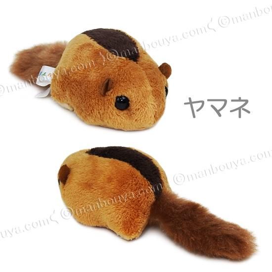 定期入れの マグネット ネズミ リス ぬいぐるみ キュート販売 4 齧歯目 CUTE その他