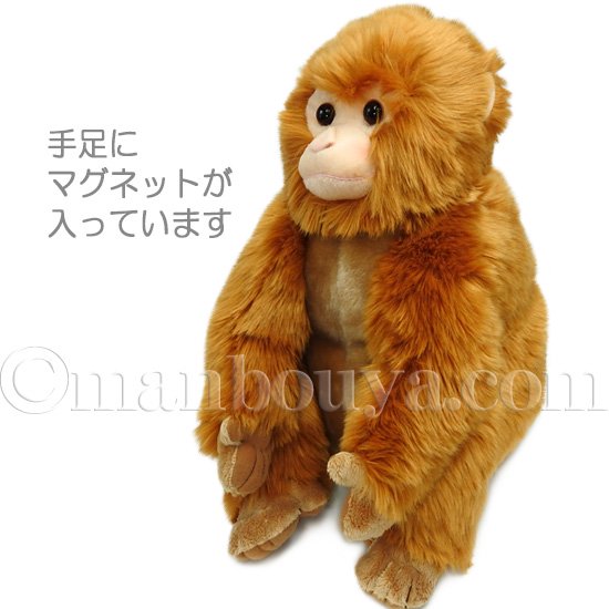 さる ぬいぐるみ 日本猿 動物園 キュート販売 CUTE ニホンザル LL 40cm