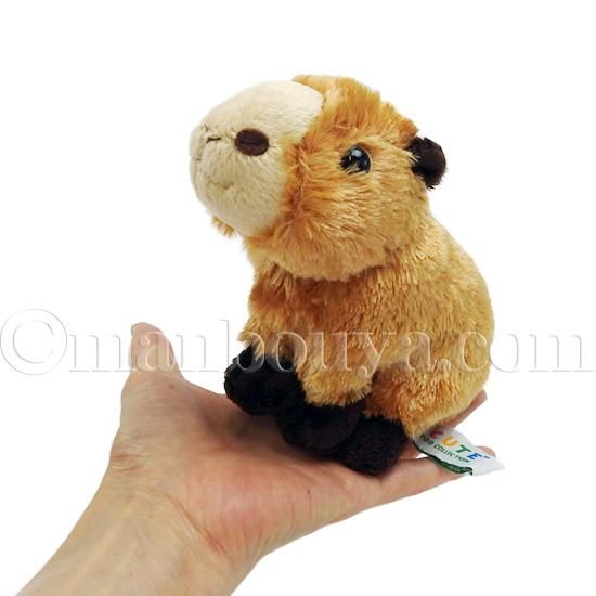 ぬいぐるみ カピバラ グッズ 置物 動物 キュート販売 CUTE