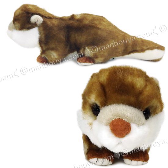 カワウソ ぬいぐるみ グッズ 水族館 キュート販売 CUTE コツメカワウソ