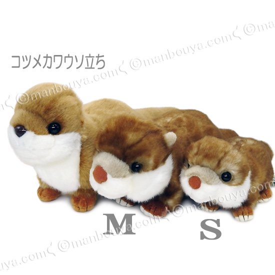 カワウソ ぬいぐるみ グッズ 水族館 キュート販売 CUTE コツメカワウソ