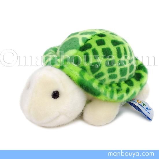 カメ ぬいぐるみ 亀 水族館 グッズ キュート販売 Cute かめ S 緑 cm 海の雑貨 水族館グッズ 動物ぬいぐるみ通販ショップ まんぼう屋ドットコム