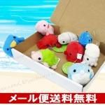 箱詰めセット（メール便で送料無料） - 海の雑貨・水族館グッズ