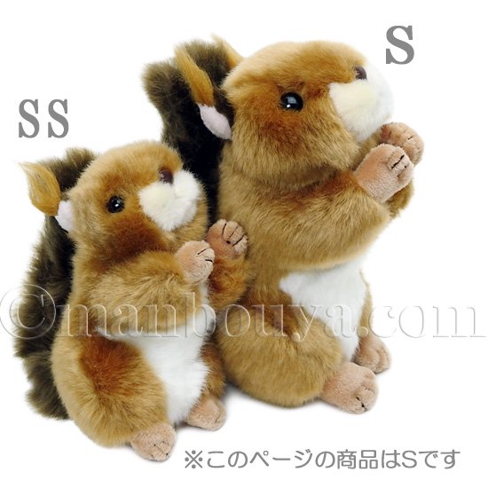 リス ぬいぐるみ 動物 キュート販売 CUTE 日本リス S 17cm - 海の雑貨・水族館グッズ・動物ぬいぐるみ通販ショップ　まんぼう屋ドットコム