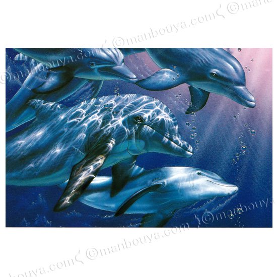 クリスチャン.リース.ラッセン作 大型 海 イルカ 鯨 魚達の 図柄作品 です-