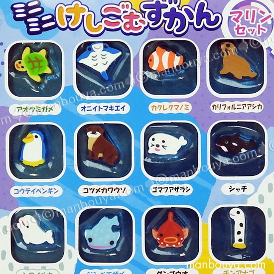 消しゴム 水族館 プチボトルパラダイス ミニミニけしごむずかん マリンセット ザ・アクセス - 海の雑貨・水族館グッズ・動物ぬいぐるみ通販ショップ  まんぼう屋ドットコム