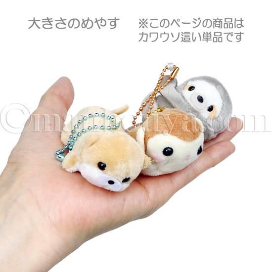 カワウソ ぬいぐるみ 水族館 アミューズ AMUFUN ぷちまる