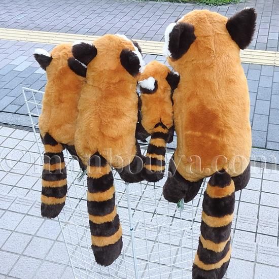 激レア　タグ付き　あさひやま動物園　レッサーパンダ　ぬいぐるみ　Lサイズ Amazon.co.jp: あさひやま動物園 レッサーパンダ ぬいぐるみ