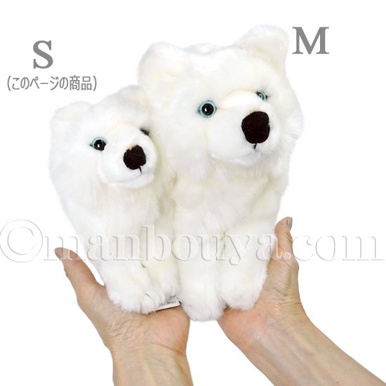 オオカミぬいぐるみ 狼 白 キュート販売 CUTE シンリンオオカミ ホワイト S 15cm - 海の雑貨・水族館グッズ・動物ぬいぐるみ通販ショップ  まんぼう屋ドットコム