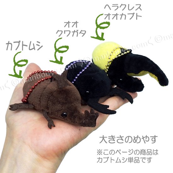 昆虫 おもちゃ ぬいぐるみ カブトムシ アミューズ AMUFUN ぷちまる昆虫