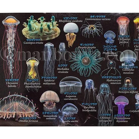 クラゲ グッズ マグカップ 大きい 陶磁器 黒 水族館 お土産 ザ