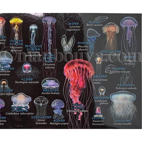 クラゲ クラゲ グッズ マグカップ 大きい 陶磁器 黒 水族館 お土産 ザ