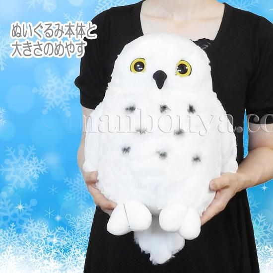 フクロウ ぬいぐるみ 白 ふくろう キュート販売 CUTE