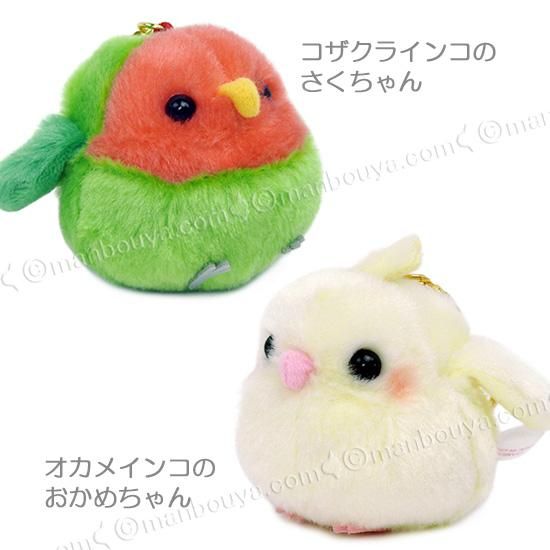 5%OFF 小鳥 ぬいぐるみ セット かわいい アミューズ AMUFUN
