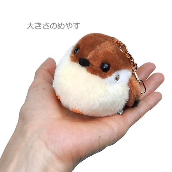 5%OFF 小鳥 ぬいぐるみ セット かわいい アミューズ AMUFUN