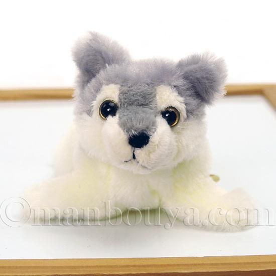 オオカミぬいぐるみ 狼 キュート販売 CUTE シンリンオオカミ