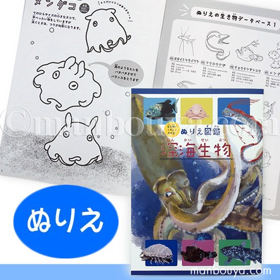 深海魚 グッズ 塗り絵 子供 ぬりえ 海の生き物 水族館 お土産 ぬりえ図鑑 深海生物 - 海の雑貨・水族館グッズ・動物ぬいぐるみ通販ショップ  まんぼう屋ドットコム