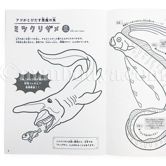 深海魚 グッズ 塗り絵 子供 ぬりえ 海の生き物 水族館 お土産 ぬりえ図鑑 深海生物 - 海の雑貨・水族館グッズ・動物ぬいぐるみ通販ショップ  まんぼう屋ドットコム