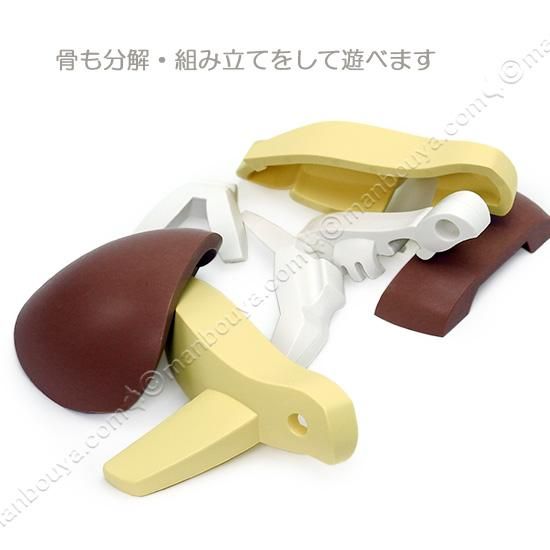 知育玩具 3歳～ カメ 海亀 水族館グッズ おもちゃ HALF TOYS