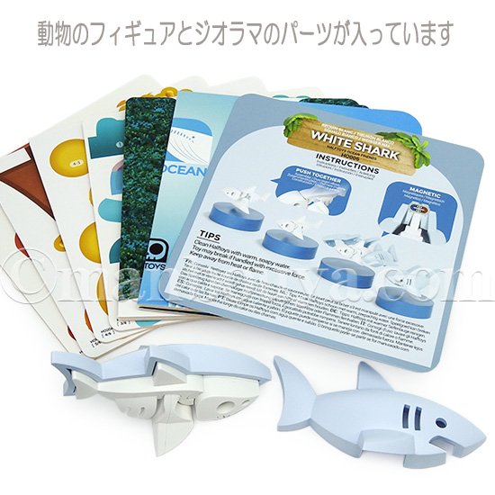 知育玩具 3歳～ サメ グッズ 水族館 おもちゃ HALF TOYS ホホジロザメ