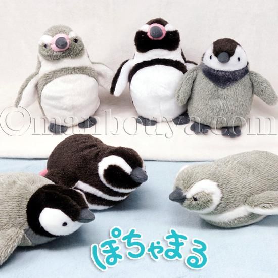 ペンギン ぬいぐるみ 海中散歩 ぽちゃまるS ぺんぎん 3種 泳ぎ