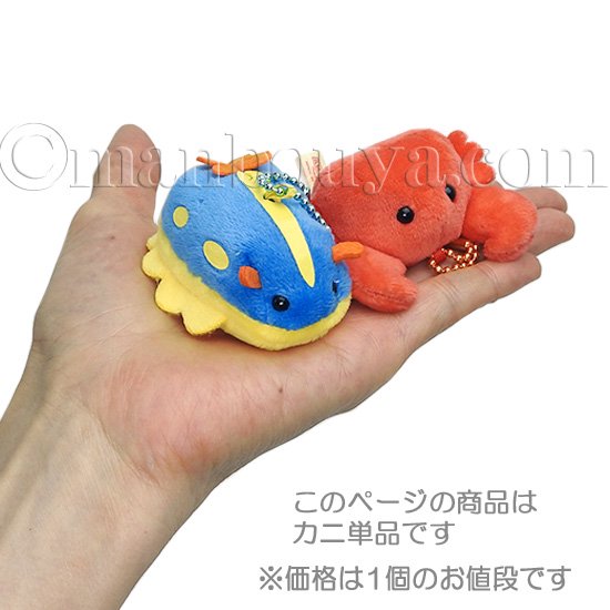 カニ ぬいぐるみ 海の生き物 水族館グッズ アミューズ AMUFUN ぷちまる アニマルズDX かに 5.5cm - 海の雑貨・水族館グッズ・動物 ぬいぐるみ通販ショップ まんぼう屋ドットコム