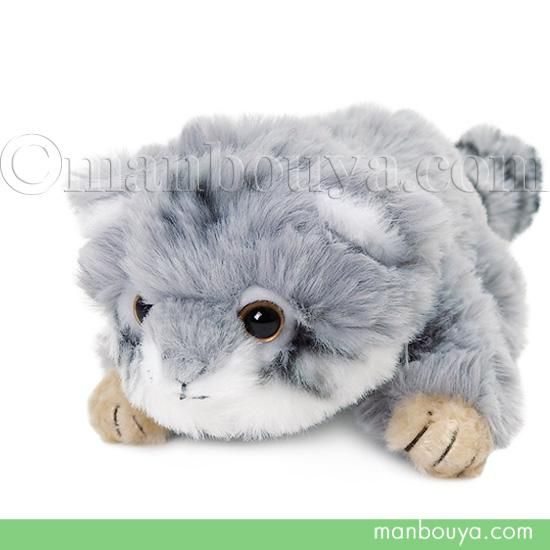 マヌルネコ ぬいぐるみ 猫 野生動物 キュート販売 CUTE くたくた