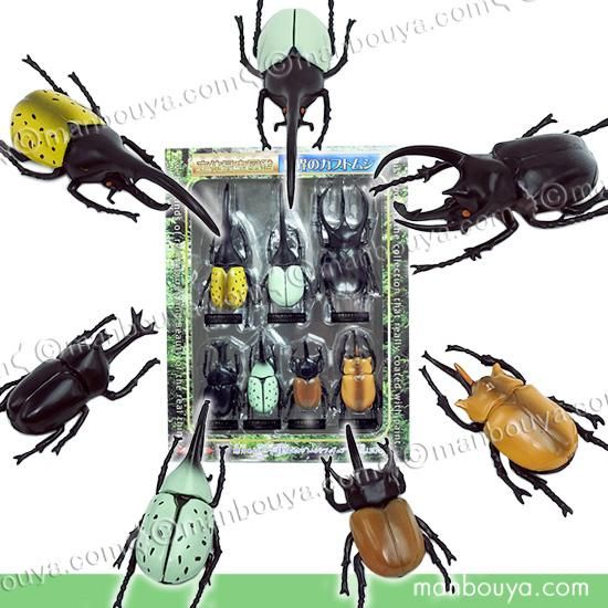 立体昆虫図鑑 世界のカブトムシ 甲虫 おもちゃ リアル フィギュア ザ
