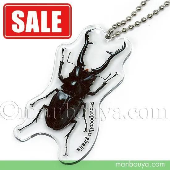 SALE20%OFFۥꥢ  å 塞 륭ۥ  եΥꥯ塞