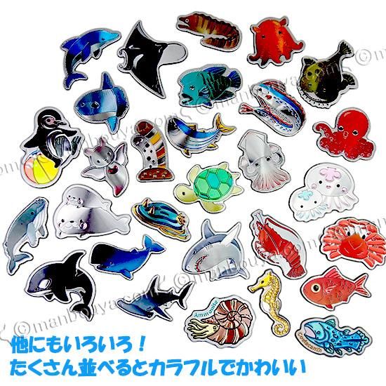 【未開封】うみにん 缶マグネットコレクション まとめ売り CLAMP展 缶マグネットコレクション｜Yahoo!フリマ（旧PayPayフリマ）