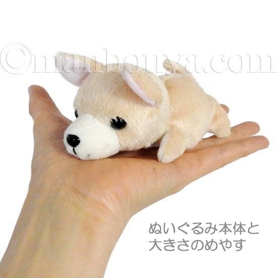 タグ付き　サンアンドスター　ぬいぐるみ　チワワ クリスマス ぬいぐるみ 犬 チワワ サンタフードマント Little