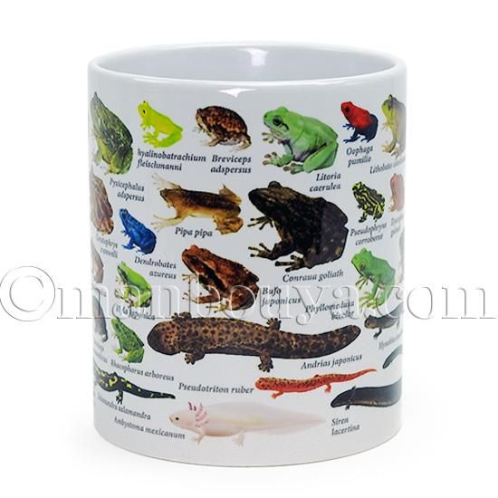 カエル取っ手付きマグカップ 3個セット 楽天市場】取っ手 コーヒーグラス 猫好き ガラス ネコ