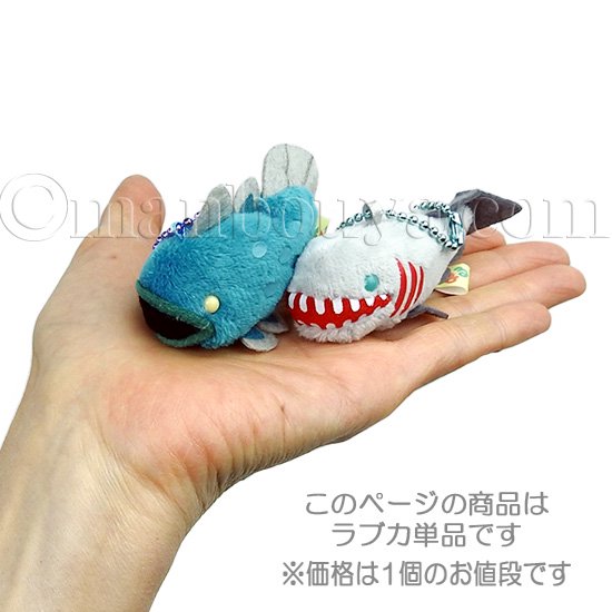 サメ ぬいぐるみ ラブカ 深海魚 水族館 お土産 アミューズ AMUFUN ぷちまる DX ラブカ 8cm - 海の雑貨・水族館グッズ・動物ぬいぐるみ通販ショップ  まんぼう屋ドットコム