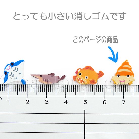 ヤドカリ グッズ 水族館 お土産 プチボトルパラダイス ミニ消しゴム かわいい 文房具 やどかり 10個 - 海の雑貨・水族館グッズ・動物ぬいぐるみ通販ショップ  まんぼう屋ドットコム