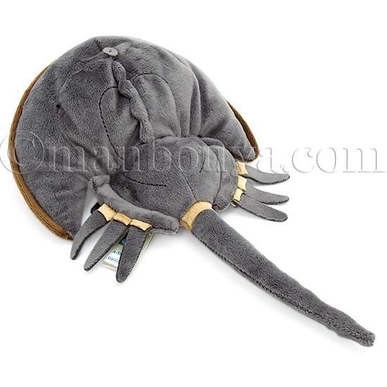 ぬいぐるみ カブトガニ グッズ 生きた化石 海の生き物 A-SHOW 栄