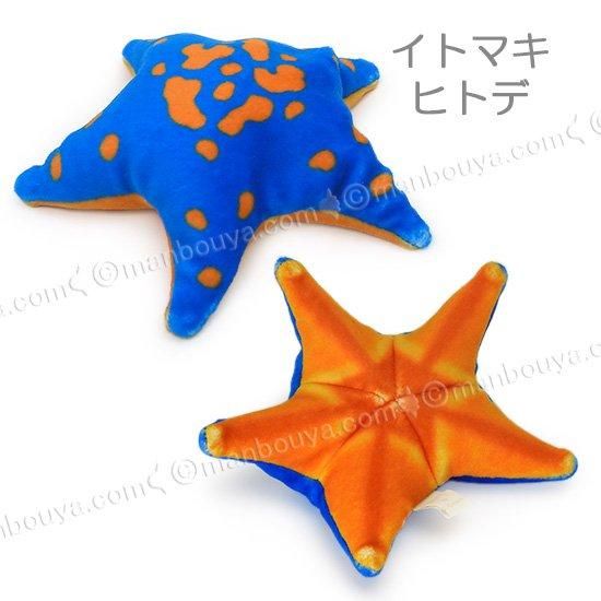 ヒトデ ぬいぐるみ 水族館 おもちゃ 人形 ぽけぷに 海星