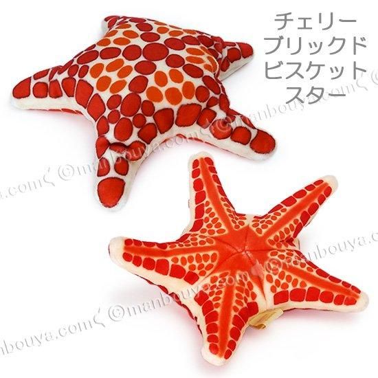 Amazon.co.jp: ヒトデ ぬいぐるみ ヒトデ 海の動物 海洋生物の