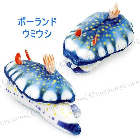 ATC ウミウシのぬいぐるみ – ネイチャーテクニカラー公式
