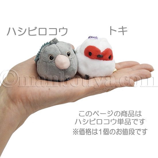 ハシビロコウ ぬいぐるみ ぷちまる DX マスコット アミューズ AMUFUN ふくふくことり はしびろこう 4cm -  海の雑貨・水族館グッズ・動物ぬいぐるみ通販ショップ まんぼう屋ドットコム