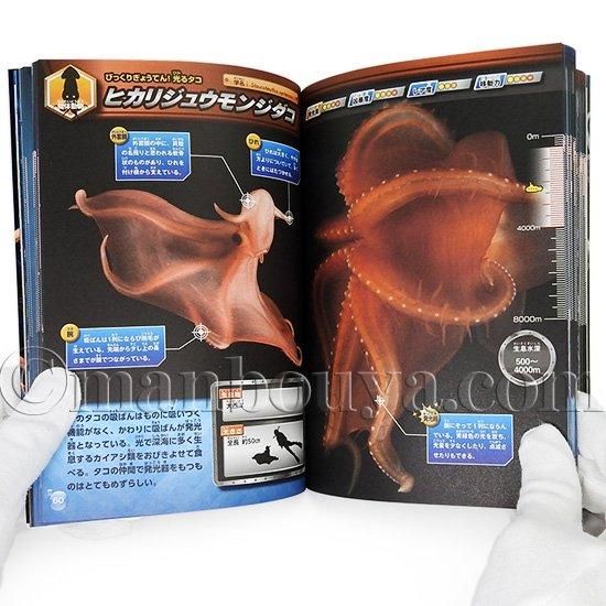 深海魚 図鑑 本 児童書 水族館グッズ 深海生物 最驚 図鑑 永岡