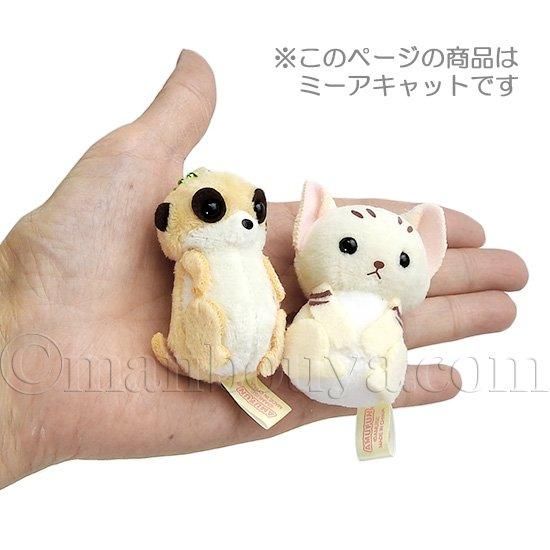ミーアキャット ぬいぐるみ ぷちまる 動物園 アミューズ AMUFUN