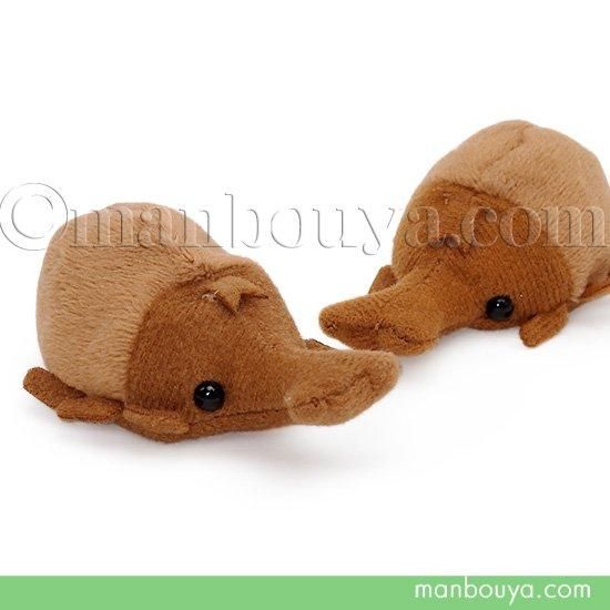 カブトムシ ぬいぐるみ 昆虫 A-SHOW 栄商 ムニュマム お手玉