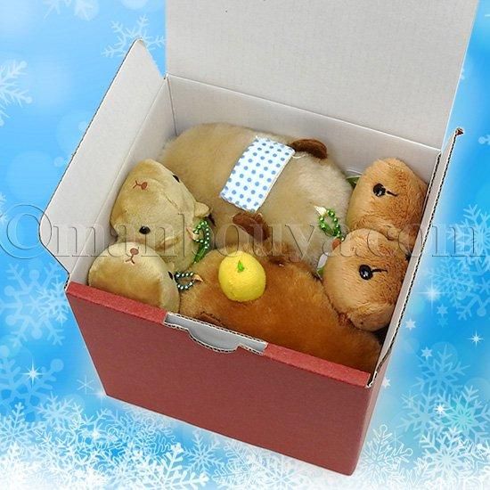 カピバラ ぬいぐるみ セット 水族館グッズ アミューズ AMUFUN