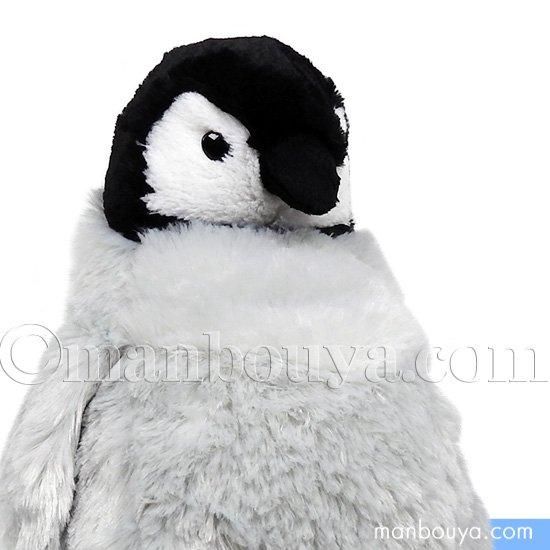 Amazon.co.jp: テイコウペンギン シャチ ぬいくるみ B0CRI