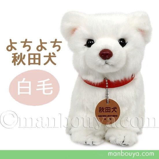 ̤ ĸ Ҹ  ¸ 塼 CUTE ĸ 16cm