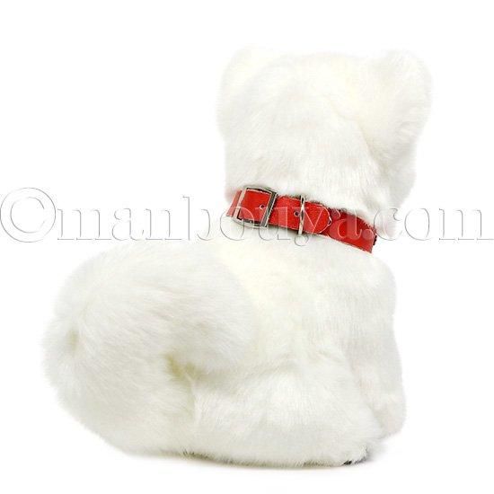 ぬいぐるみ 秋田犬 子犬 白毛 保存会 キュート販売 CUTE