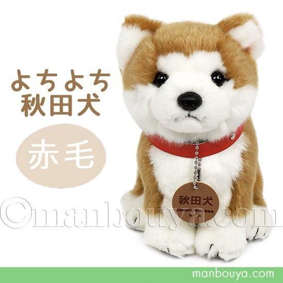 ぬいぐるみ 秋田犬 子犬 赤毛 保存会 キュート販売 CUTE