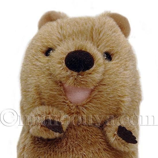 GBちゃん　ぬいぐるみ　クオッカ 再入荷情報】 『クオッカちゃん』 750円 全4種 再入荷しました